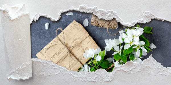 CARTA REGALO E DECORATIVA